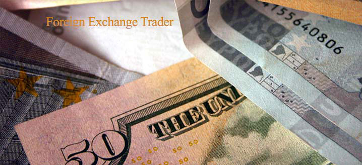 Foreign Exchange Trader